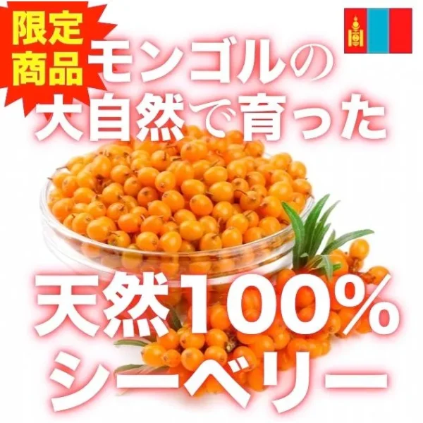 サジージュース モンゴル産シーベリージュース もぎたて果実をぎゅっと凝縮　果汁100％ジュース　ストレート　900ml